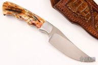 Sailfish w/ Mammoth Tooth