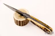 Integral Damascus Personal - Stag