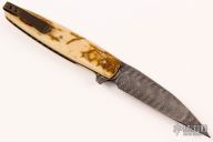 Wharncliffe Flipper - Mammoth and Damascus