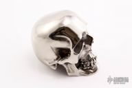 Hardened Stainless Steel Skull