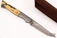 Integral Bird and Trout