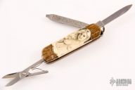  Classic SD - Mammoth Ivory w/ Scrimshaw