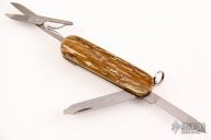  Classic SD - Mammoth Ivory w/ Scrimshaw