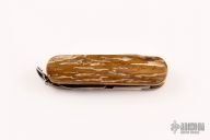  Classic SD - Mammoth Ivory w/ Scrimshaw