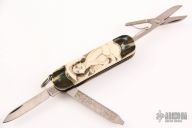 Classic SD - Mammoth Ivory w/ Scrimshaw