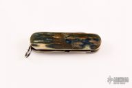 Classic SD - Mammoth Ivory w/ Scrimshaw