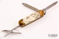  Classic SD - Mammoth Ivory w/ Scrimshaw