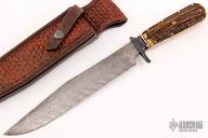 Damascus and Stag Bowie