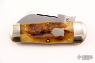 Tidioute Whaler Toenail - Muscle Bone