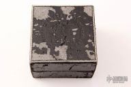 Fortis Flieger 620.10.41 M - Pilot