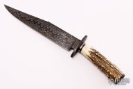 Damascus and Stag Bowie