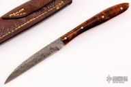 Wharncliffe Damascus Fixed Blade 