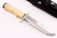 Solingen Fighter - Fossil Walrus Ivory
