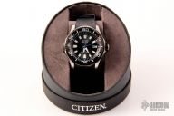 Model BN0085-01E Promaster Diver