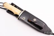 Solingen Fighter - Fossil Walrus Ivory