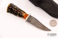 Mini Damascus Bowie