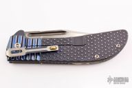 Large Framelock Folder