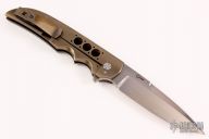 Spear Point Linerlock Flipper