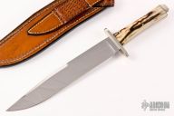 Stag Bowie 1977 #19