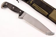 Early Steel Heart Variant