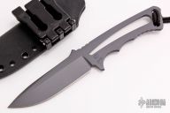 Professional Soldier