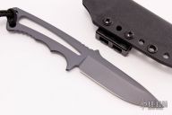 Professional Soldier