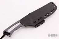 Professional Soldier