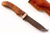 Birdseye Damascus Hunter