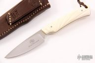 Marmoset - Warthog Tusk