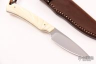 Marmoset - Warthog Tusk