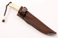 Marmoset - Warthog Tusk