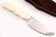 Bush Baby - Squirrel - Warthog Tusk