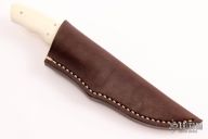 Bush Baby - Squirrel - Warthog Tusk