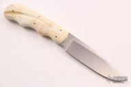 Scavenger - Vulture - Warthog Tusk