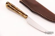 Bush Baby - Porcupine - Kudu Bone