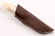 Bush Baby - Meerkat - Warthog Tusk