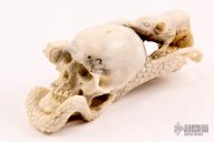  Skull/Snake/Rat carving 