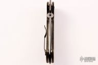 Tiger SF - Custom Scales and Backspacer