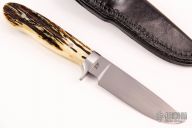 Engraved Hunter - Stag