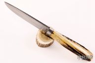 Engraved Hunter - Stag