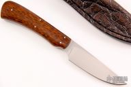  Scavenger - Jackal - Snakewood