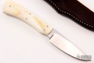 Scavenger - Jackal - Warthog tusk