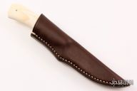 Scavenger - Jackal - Warthog tusk