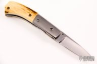 Linerlock Folder - Mammoth Ivory