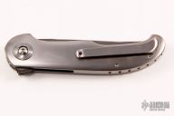 Single Issue Ruby Persian