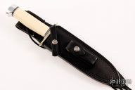 Model 14 CDT - Ivorite