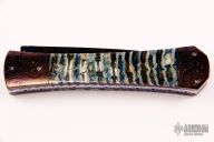 Mammoth Tooth Fantail