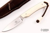  Marmoset - Warthog Tusk