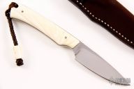  Marmoset - Warthog Tusk