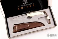  Marmoset - Warthog Tusk